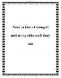 Nuôi cá tầm - Hướng đi mới trong chăn nuôi thuỷ sản