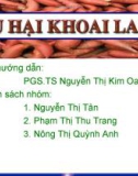 Thuyết trình nhóm: Sâu hại khoai lang