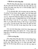 Cây dứa và kỹ thuật trồng part 5