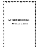 Kỹ thuật nuôi sâu gạo – Thức ăn cá cảnh