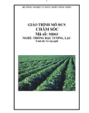 Giáo trình Chăm sóc - MĐ03: Trồng đậu tương, lạc