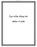 Tạo trầm bằng tác nhân vi sinh