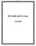 Kỹ thuật nuôi cá song (cá mú)