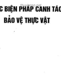 Các biện pháp canh tác bảo vệ thức vật