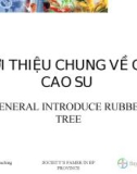 GIỚI THIỆU CHUNG VỀ CÂY CAO SU