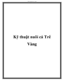 Kỹ thuật nuôi cá Trê Vàng