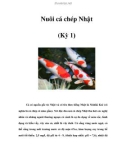 Nuôi cá chép Nhật (Kỳ 1)