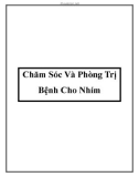 Chăm Sóc Và Phòng Trị Bệnh Cho Nhím