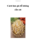 Cách làm giá đỗ không cần cát