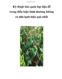 Kỹ thuật bảo quản hạt đậu đỗ trong điều kiện bình thường không có nhà lạnh hiệu quả nhất