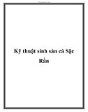 Kỹ thuật sinh sản cá Sặc Rằn