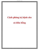 Cách phòng trị bệnh cho cá điêu hồng