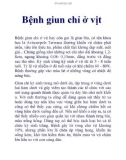 Bệnh giun chỉ ở vịt