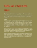 Sinh sản ở tép nước ngọt