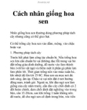 Cách nhân giống hoa sen