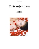 Thảo mộc trị sẹo mụn