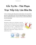 Gốc Tự Do - Thủ Phạm Trực Tiếp Gây Lão Hóa Da