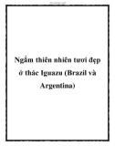 Ngắm thiên nhiên tươi đẹp ở thác Iguazu (Brazil và Argentina)