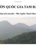 DU LỊCH VƯỜN QUỐC GIA TAM ĐẢO