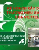 KẾ HOẠCH XÂY DỰNG THƯƠNG HIỆU SIM ĐÔI CỦA VIETTEL