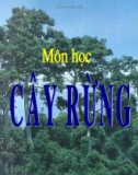 Bài giảng môn học Thực vật rừng