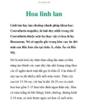 Hoa linh lan