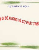 Bài giảng Làm gì để xương và cơ phát triển tốt - TNXH 2 - GV. N.T.Sỹ