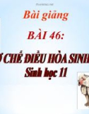 Bài giảng Sinh học 11 bài 46: Cơ chế điều hòa sinh sản