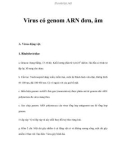 Virus có genom ARN đơn, âm