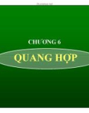 Chương 6. Quang hợp