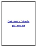 Quả chuối – chuyên gia cứu đói