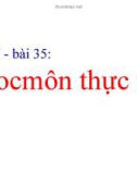 Bài giảng Bài 35: Hoocmôn thực vật (Tiết 37)