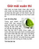 Giữ mãi xuân thì