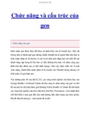 Chức năng và cấu trúc của gen