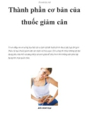 Thành phần cơ bản của thuốc giảm cân