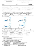 Đề thi học kì 2 môn Vật lý lớp 11 năm 2022-2023 - Trường THPT Nguyễn Trãi, Quảng Nam