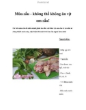 Mùa sấu - không thể không ăn vịt om sấu!