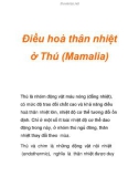 Điều hoà thân nhiệt ở Thú (Mamalia)