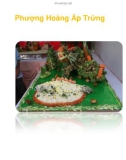 Phượng Hoàng Ấp Trứng