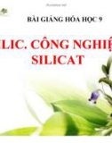 Bài giảng Hóa học 9: Silic. Công nghiệp Silicat