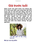 Già trước tuổi