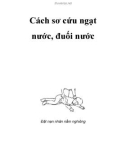 Cách sơ cứu ngạt nước, đuối nước