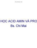 Hóa học acid amin và protein