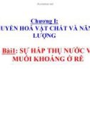 Bài giảng Sinh học 11 - Bài 1: Tìm hiểu sự hấp thụ nước và muối khoáng ở rễ