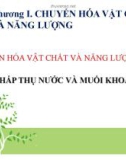 Bài giảng Sinh học lớp 11 bài 1: Sự hấp thụ nước và muối khoáng ở rễ