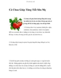 Cà Chua Giúp Tăng Tiết Sữa Mẹ