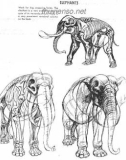 The Art Of Animal Drawing - Phần 5