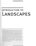 The Art Of Animal Drawing - Introduction To Iandscapes