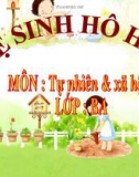 Slide bài Vệ sinh hô hấp - Tự Nhiên Xã Hội 3 - GV.B.N.Kha