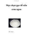 Mẹo chọn gạo để nấu cơm ngon